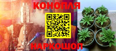 ешки Жуковский