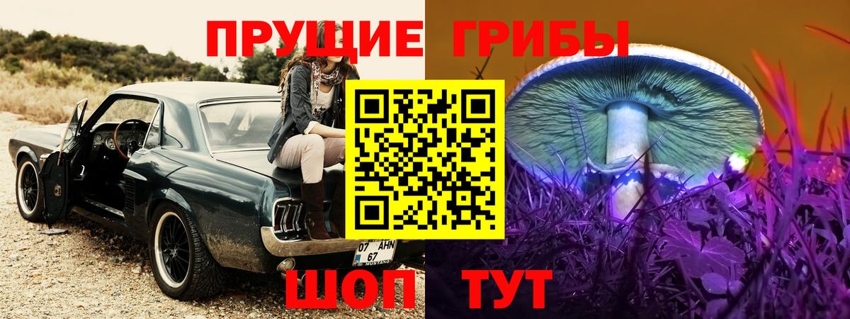 Галлюциногенные грибы Psilocybine cubensis Биробиджан